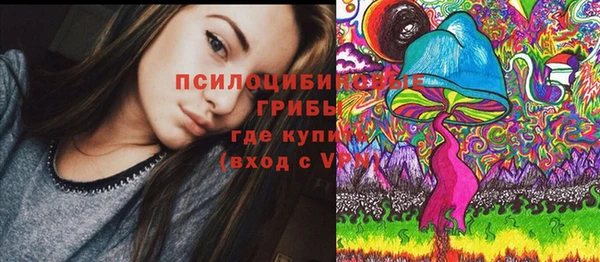 PSILOCYBIN Аркадак