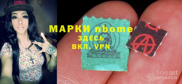 PSILOCYBIN Аркадак