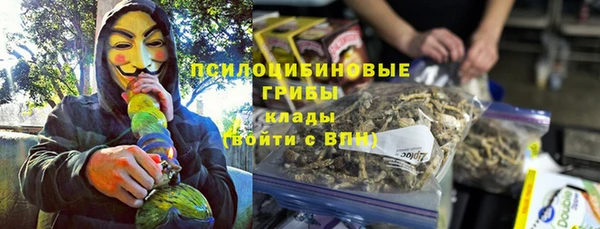гашик Арсеньев