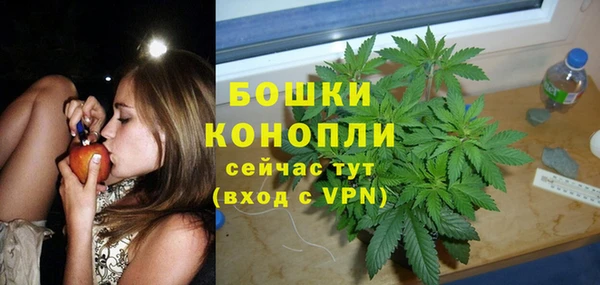 PSILOCYBIN Аркадак
