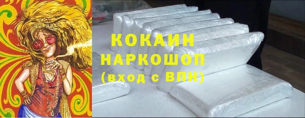 гашик Арсеньев